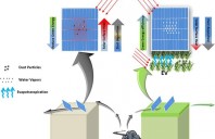 Acoperișul verde Biosolar – O sinergie de sisteme inovatoare