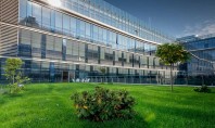 Rolul acoperișurilor verzi în workplace management – partea 1 Verde sustenabilă sau eficientă energetic – așa