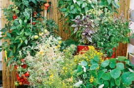 Idei simple pentru grădini de legume la fel de frumoase ca cele de flori
