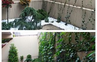 Amenajarea grădinii: Trucuri simple pentru un spațiu verde de vis