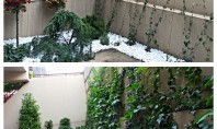 Amenajarea grădinii Trucuri simple pentru un spațiu verde de vis Începe cu o Planificare inteligentă Un