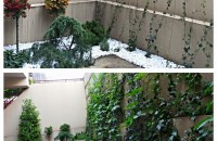 Amenajarea grădinii: Trucuri simple pentru un spațiu verde de vis