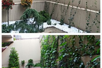 Amenajarea grădinii: Trucuri simple pentru un spațiu verde de vis