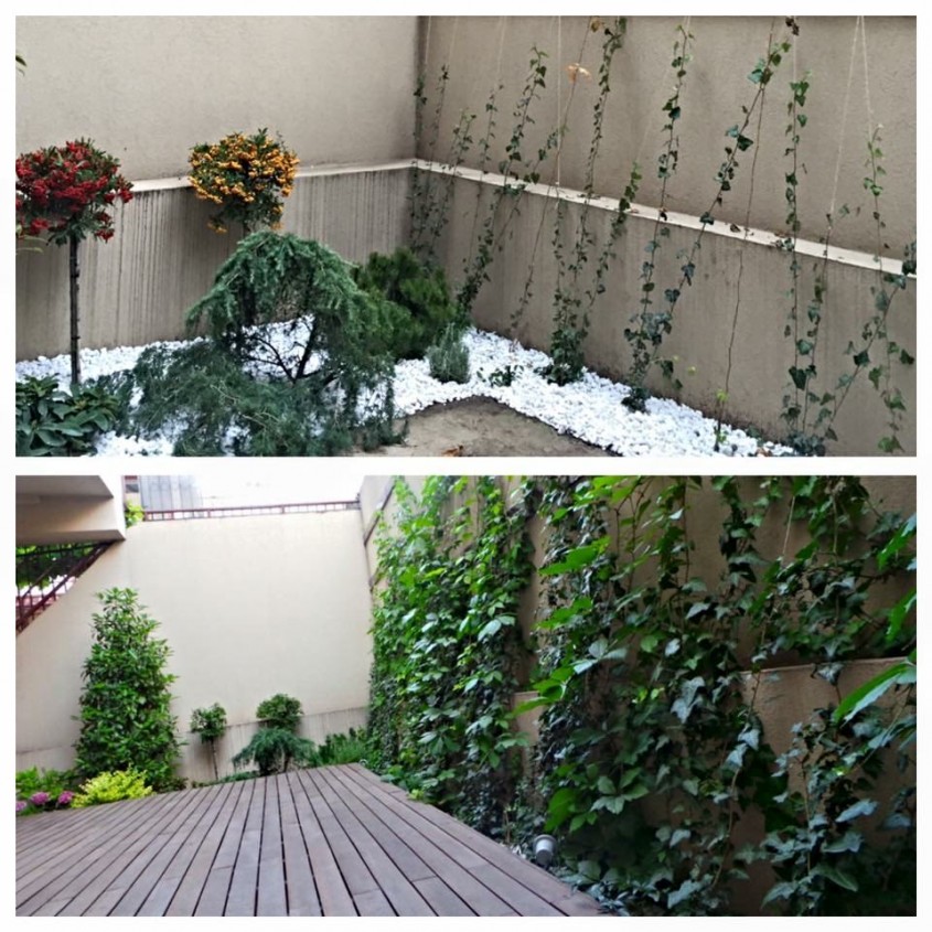 Amenajarea grădinii: Trucuri simple pentru un spațiu verde de vis