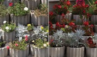 Jardinierele - secretul amenajarilor de primavara Iti propunem sa optezi pentru amenajarea cu jardiniere decorate cu