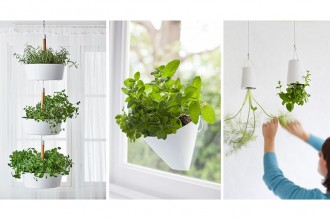 Idei pentru grădina de apartament – plante agăţate de pereţi şi tavane