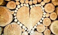 Reîntoarcerea la încălzirea pe lemne economic și prin responsabilizare ecologic Aceasta pentru că încălzirea pe lemne