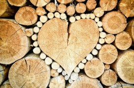 Reîntoarcerea la încălzirea pe lemne: economic și, prin responsabilizare, ecologic