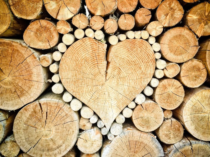 Reîntoarcerea la încălzirea pe lemne: economic și, prin responsabilizare, ecologic