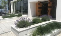De ce Eco Garden Construct este partenerul ideal pentru amenajări peisagistice premium Soluții verzi pentru clădiri