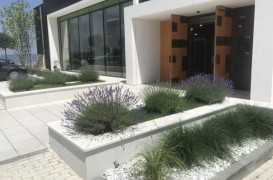 De ce Eco Garden Construct este partenerul ideal pentru amenajări peisagistice premium
