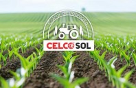 Varul &icirc;n agricultură: cum corectează un sol acid și cum &icirc;mbunătățește fertilitatea