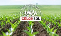 Varul &icirc;n agricultură cum corectează un sol acid și cum &icirc;mbunătățește fertilitatea Varul agricol corectează solul