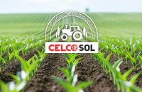 Varul &icirc;n agricultură: cum corectează un sol acid și cum &icirc;mbunătățește fertilitatea