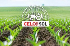 Varul &icirc;n agricultură: cum corectează un sol acid și cum &icirc;mbunătățește fertilitatea