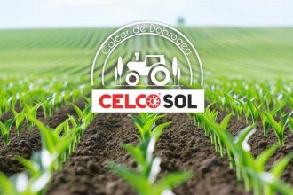 Varul &icirc;n agricultură: cum corectează un sol acid și cum &icirc;mbunătățește fertilitatea