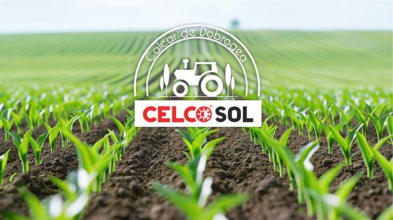 Varul &icirc;n agricultură: cum corectează un sol acid și cum &icirc;mbunătățește fertilitatea