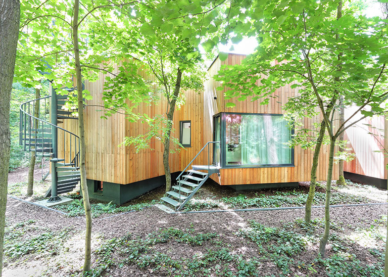 O casă construită în jurul arborilor existenți după o metodă matematică