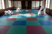 Tatami – Pardoseală tradițională japoneză adaptată pentru sport și fitness