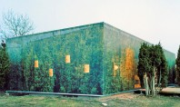 Casa imbracata in conifere pentru a-si masca volumul intre copaci Echipa suedeza Murman Arkitekter a propus