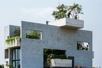 O casă în care predomină vegetația și se cultivă legume