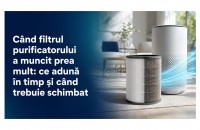 Ce ascunde filtrul purificatorului tău și c&acirc;nd e timpul să-l schimbi