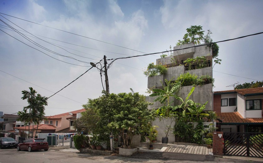 Casa-jardinieră în care proprietarii cresc zeci de specii de plante comestibile
