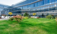 Rolul acoperișurilor verzi în workplace management – partea 2 Pentru cei care aleg soluția acoperișului verde