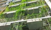 Un hotel invaluit in peste 800 de varietati de plante Proiectat de arhitectul local Mario Cito