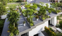 O terasă plină de vegetație amenajată pe acoperișul casei Echipa de la biroul Vo Trong Nghia