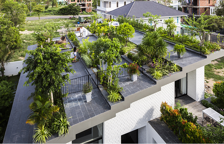 O terasa plina de vegetatie amenajata pe acoperisul casei