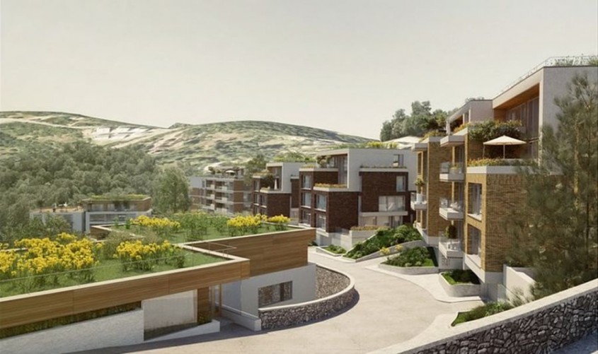 Importanța acoperișurilor verzi în creșterea valorii unei proprietăți