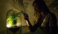 A fost creată o lampă care se alimentează prin fotosinteză Designer-ul Ermi Van Oers a creat