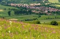 AGPR Conference 2026 aduce la Iași specialiști europeni &icirc;n design peisagistic și infrastructură verde