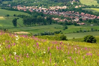 AGPR Conference 2026 aduce la Iași specialiști europeni &icirc;n design peisagistic și infrastructură verde