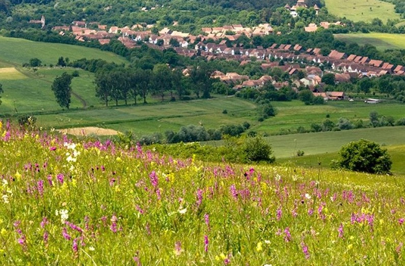 AGPR Conference 2026 aduce la Iași specialiști europeni &icirc;n design peisagistic și infrastructură verde