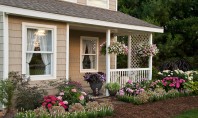 Înfrumusețează-ți intrarea în casă cu ajutorul plantelor - 12 sugestii