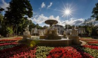 Cum Eco Garden Construct poate sprijini autoritățile publice în crearea și întreținerea spațiilor verzi publice Tot