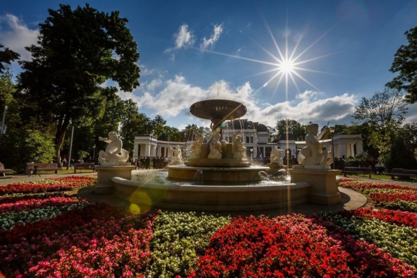 Cum Eco Garden Construct poate sprijini autoritățile publice în crearea și întreținerea spațiilor verzi publice