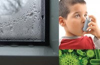 Calitatea aerului - importanta unui sistem de ventilatie