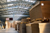 Cum alegi o hală de depozitare eficientă în funcție de domeniul activității afacerii tale?