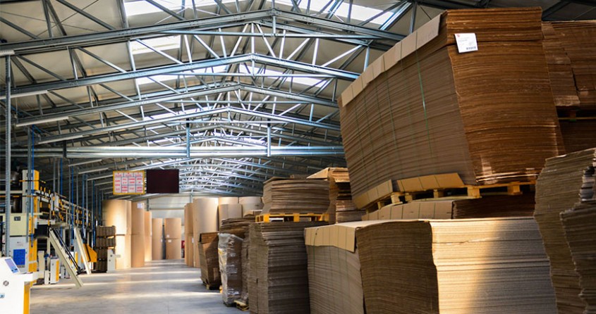 Cum alegi o hală de depozitare eficientă în funcție de domeniul activității afacerii tale?