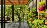 Grădinile verticale transformă această casă din Mexico City într-o oază exotică Firma de arhitectura ASP Arquitectura