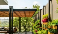 Grădinile verticale transformă această casă din Mexico City &icirc;ntr-o oază exotică Firma de arhitectura ASP Arquitectura
