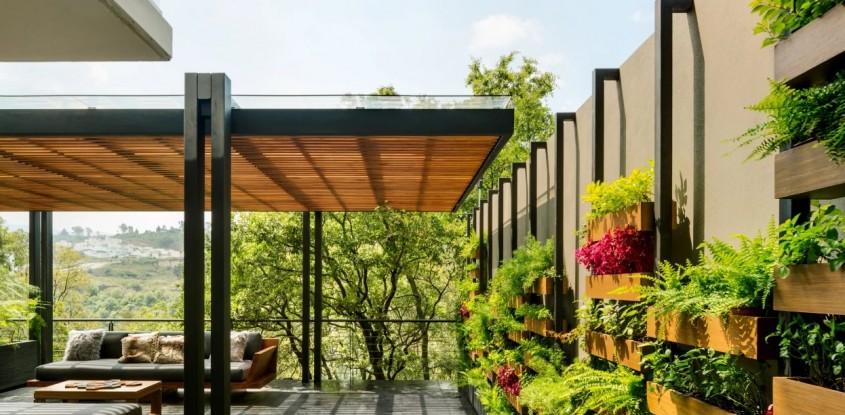 Grădinile verticale transformă această casă din Mexico City într-o oază exotică