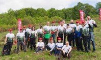 Florea Grup plantează 42 000 de puieți pe o suprafață de 9 hectare în județul Alba