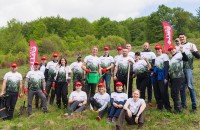 Florea Grup plantează 42.000 de puieți pe o suprafață de 9 hectare în județul Alba