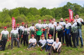 Florea Grup plantează 42.000 de puieți pe o suprafață de 9 hectare în județul Alba