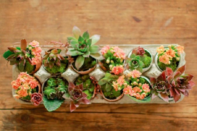 O grădină într-un ou: decoraţiuni cu plante, pentru masa de Paşte
