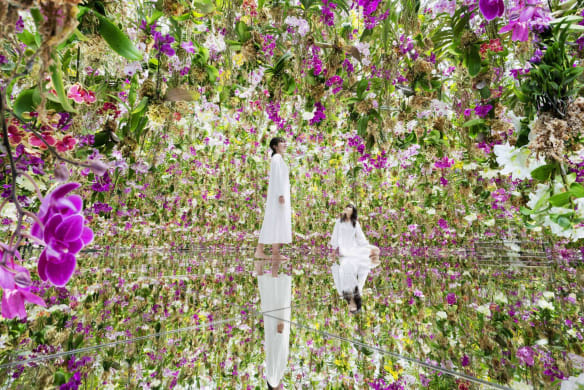 Mii de orhidee plutesc în jurul vizitatorilor într-o grădină ca niciuna alta